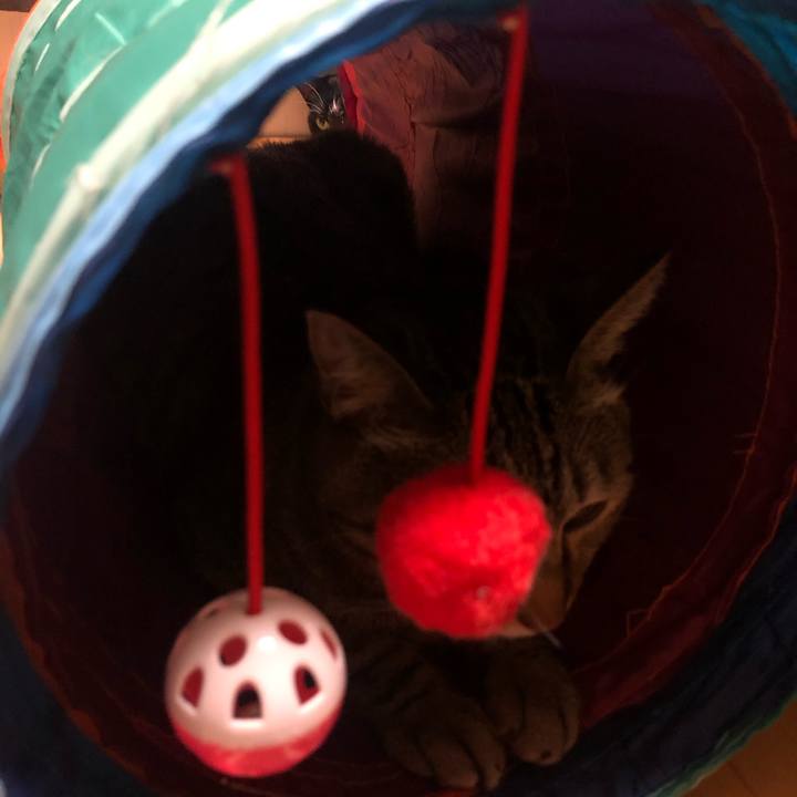 0dc9344d c0de 4a64 87b4 7b09fc201a1f 1596595214276