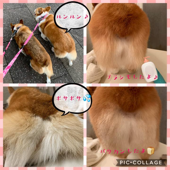 0dc93a96 1d12 4865 8b74 f0454662bf9c 1586506064971