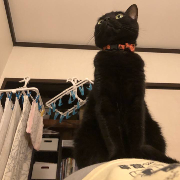 0dc93f64 44a3 4e94 b5e6 82a9fbe775b1 1555586848587