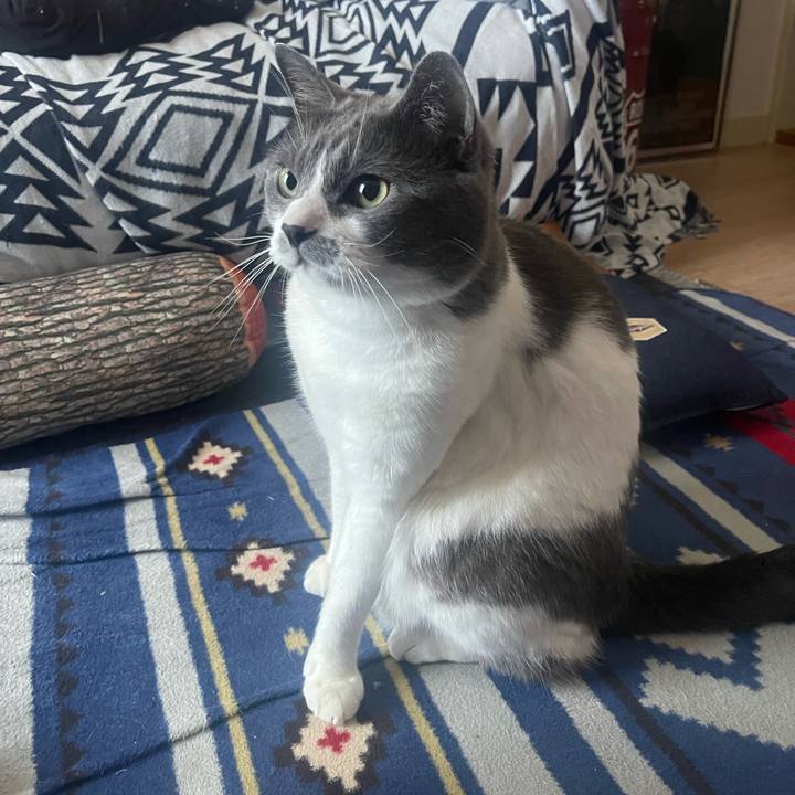 0dc94072 bd86 4274 a2a9 ab4dd490ea25 1686952251210