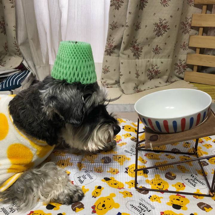 0dc98b0a 1b7a 4657 98da 942c76866e09 1645920553755