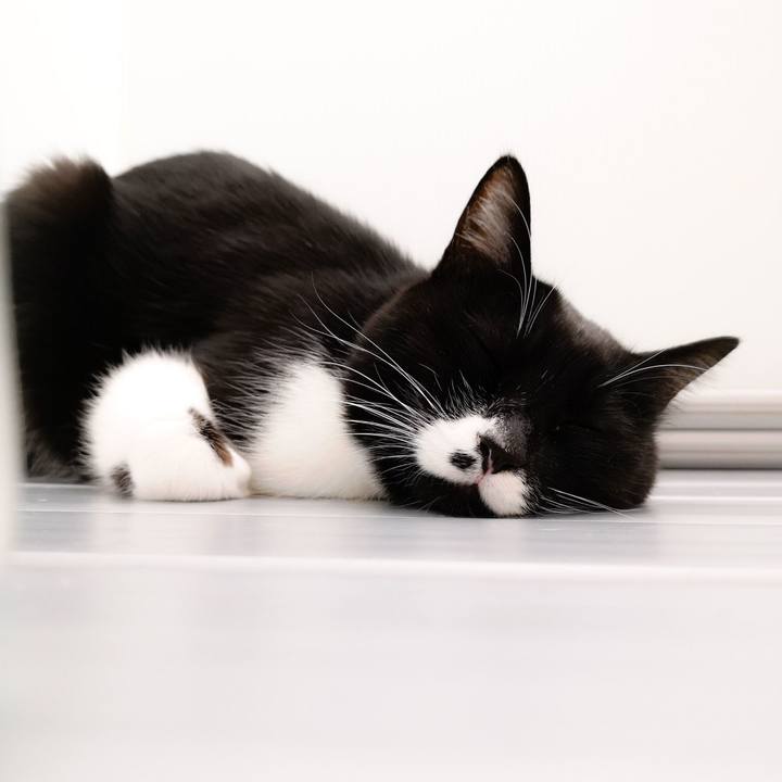 0dc999b7 4fbc 4436 8e4c 86d460f72c78 1547903192142