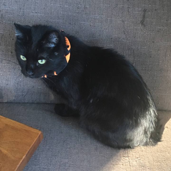 0dc9ccb0 d16d 425b 9142 3544305e6205 1541201190389