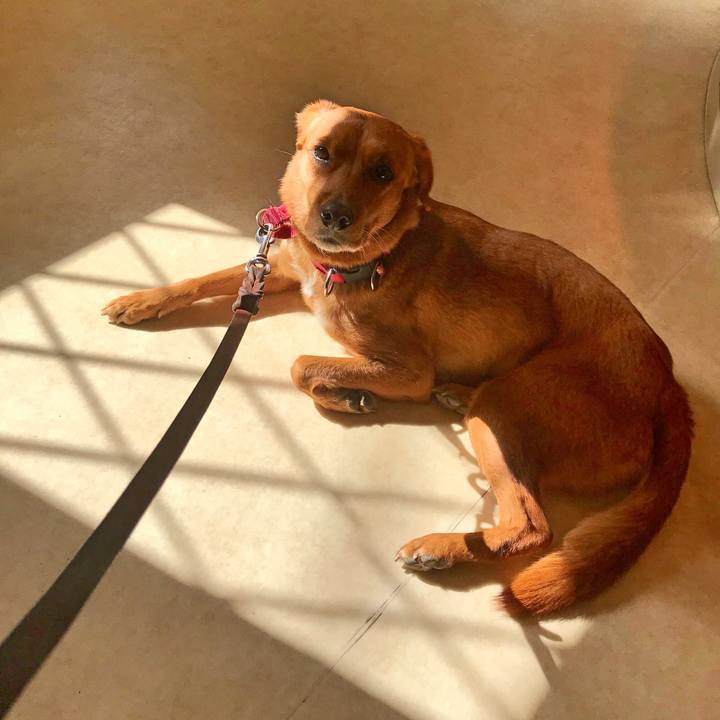 0dca1140 d42e 4879 96ba fcc51ffa68e8 1518499219624