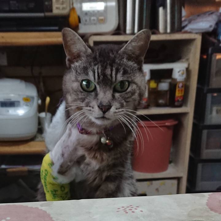 0dca1e1d 0cc9 4faa 9c5f 770c8ec5dbf7 1586554722853