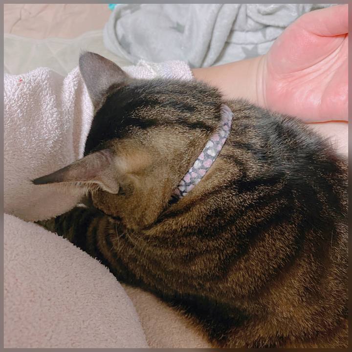 0dca547d cb45 45e7 b0aa ca9d2187a532 1604301127111