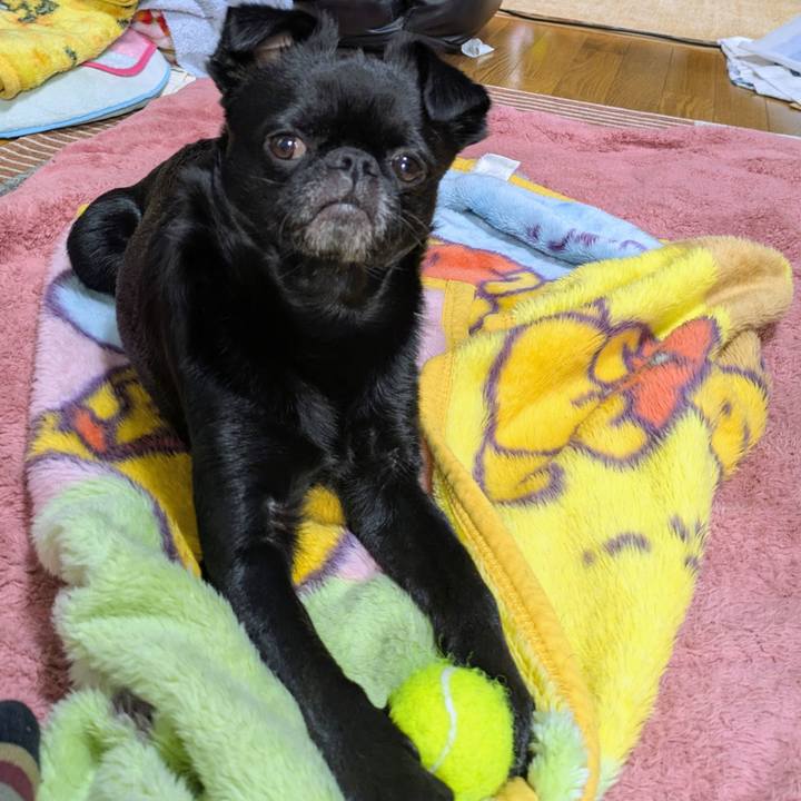 0dca8d92 d170 4c9d b862 265b7aa7b81e 1771250797465