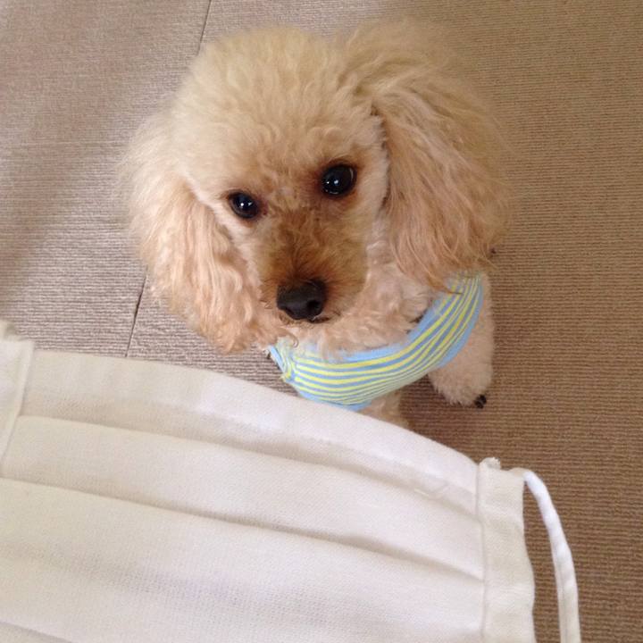 0dca9e36 7a69 4aeb 96cf f618788946c2 1587876240890