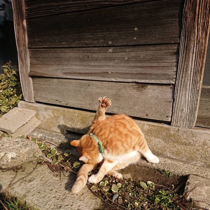 0dcad469 fd5f 4795 b61e adb3e8ce7f8c 1584747578260