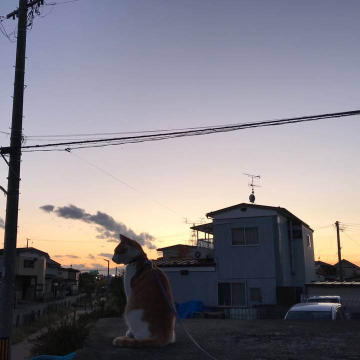 0dcae957 ff98 49ec b6c1 309a35629a29 1509451692119