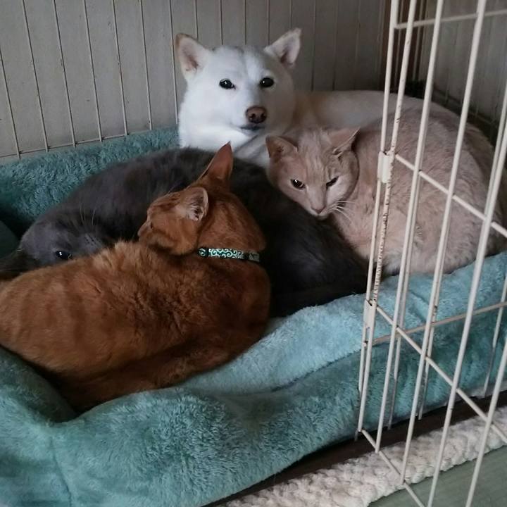 0dcb444e 5d2d 4c93 8702 f2f4aa8af05d 1579393435261