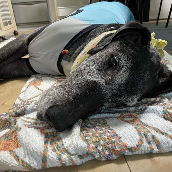 0dcb6bec 0a0b 41c6 885b 62885400a059 1657665852220