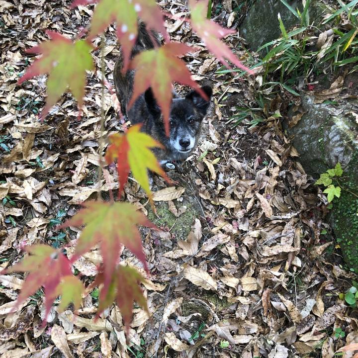 0dcb93ba 1b29 416c 8889 d574dc834eaa 1607677704496