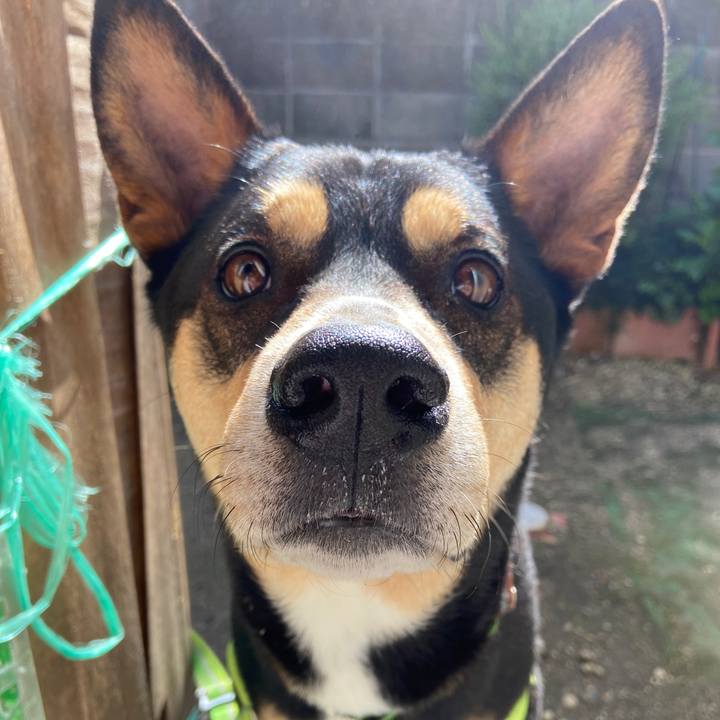 0dcb99ba 9c04 46e1 9c9a 37df22dd2e65 1620560222356