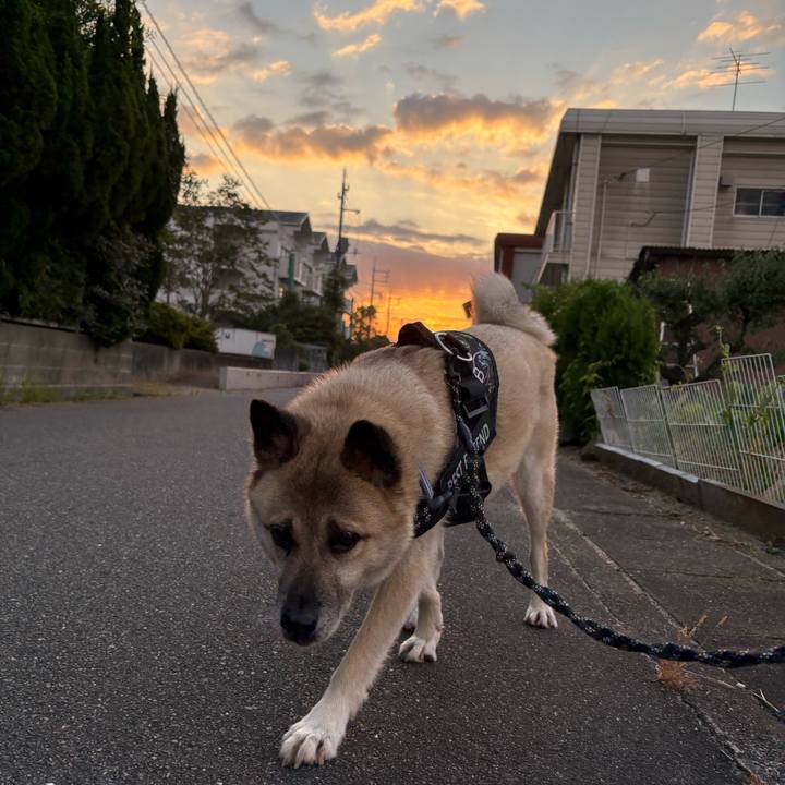 0dcbb556 d582 4e7c 8171 9ae7d6c9672b 1752667333014