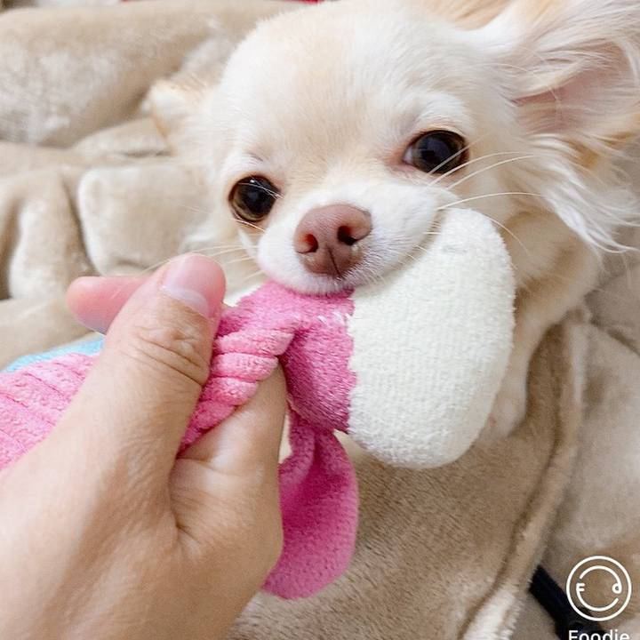 0dcbd2f0 7146 4a3d 8abc be1982298e11 1605081229153