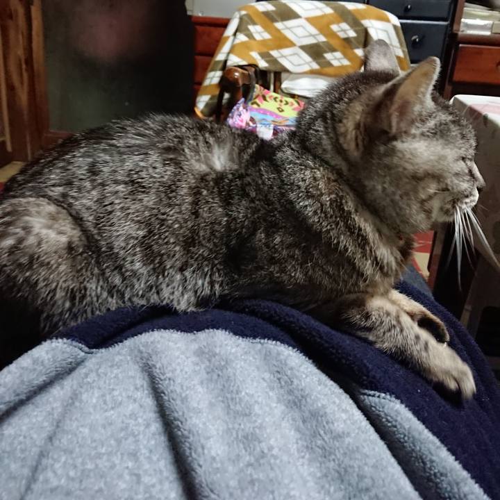 0dcc0f4a 4ff0 4b45 bb99 8fc03b080a70 1553080833018