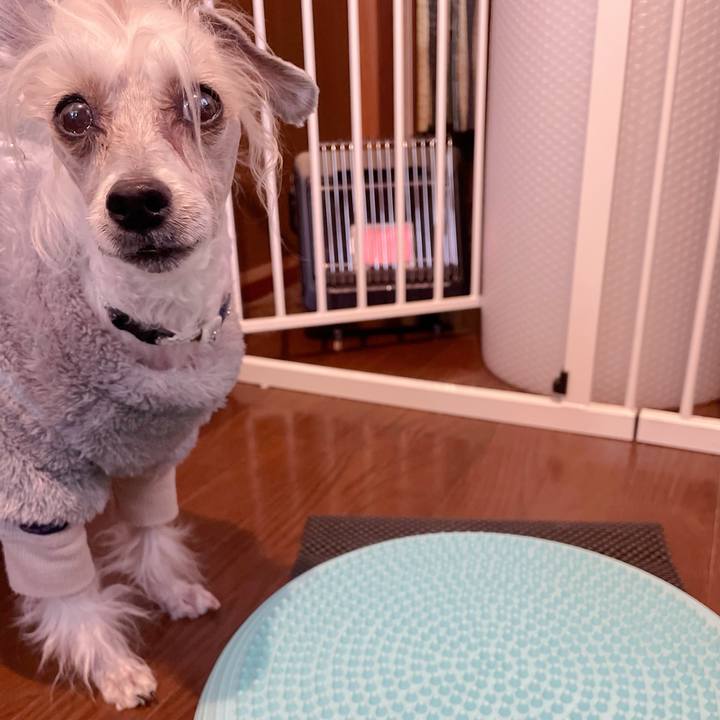 0dcc11a3 3866 4b6a b566 6b03f1658c43 1769821003140