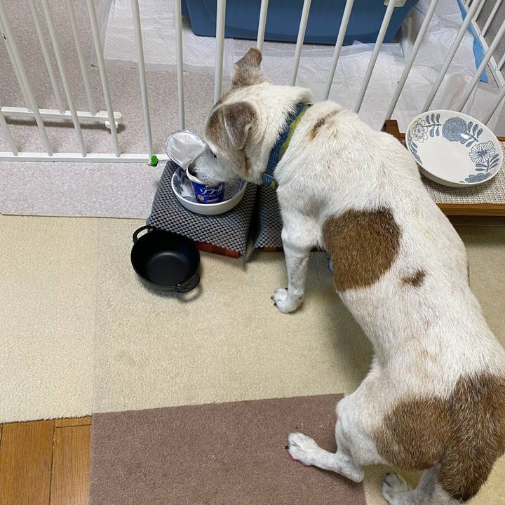 0dcca85c dbde 45d5 86c2 9715dab8e6a4 1721292931576