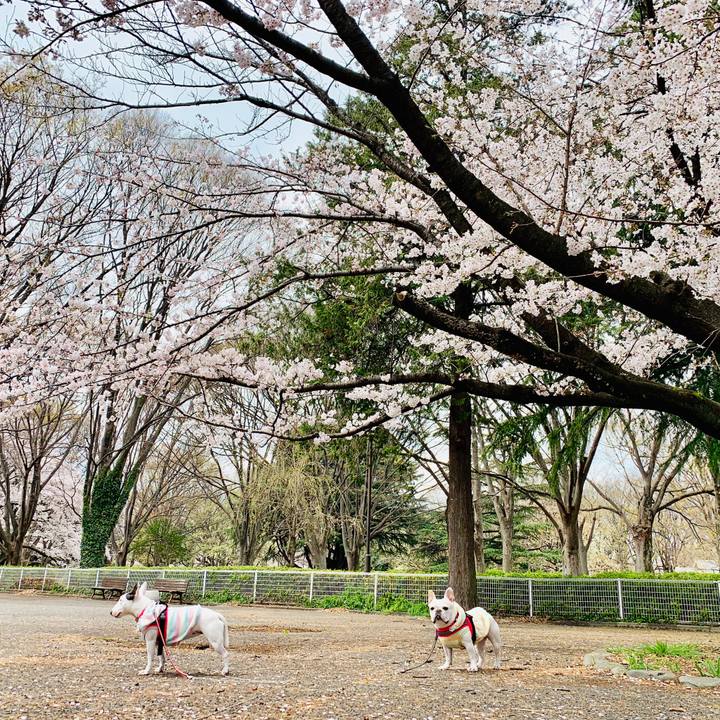 0dcd0fe1 65d0 42dc a0c0 bf3f542befcf 1554711316556