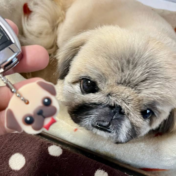 0dcd1e22 2a37 4b9f a041 5ccf71a56a86 1737070646554