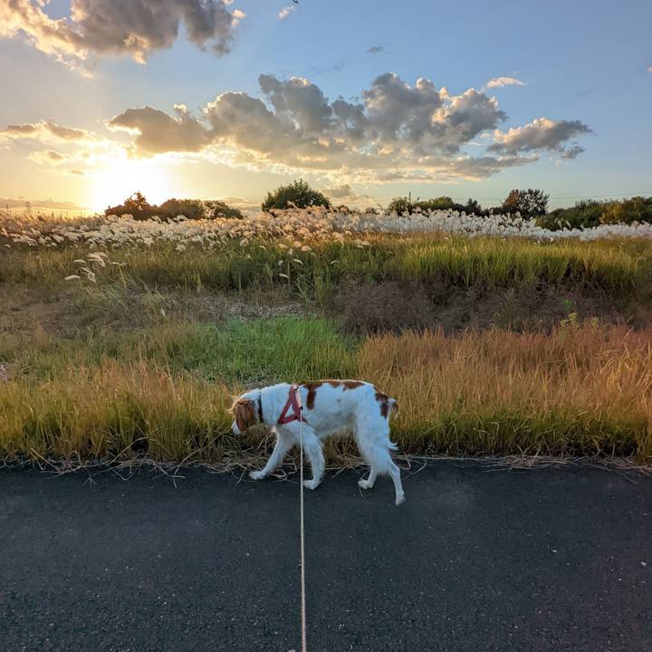 0dcd1f2b 67ec 4f0f b7a0 2c67a5131d62 1635937941172