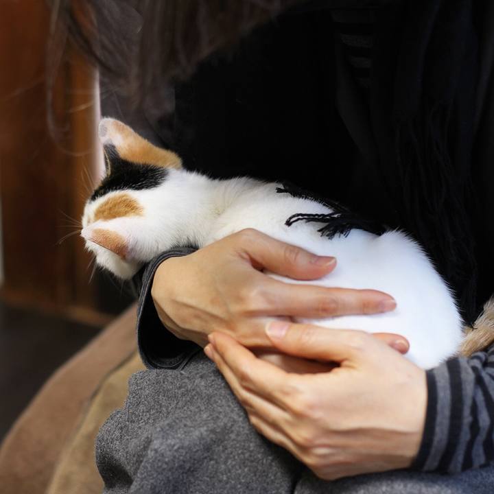 0dcd27e3 549f 4e5e 9ef3 44e8a662da45 1549247404233