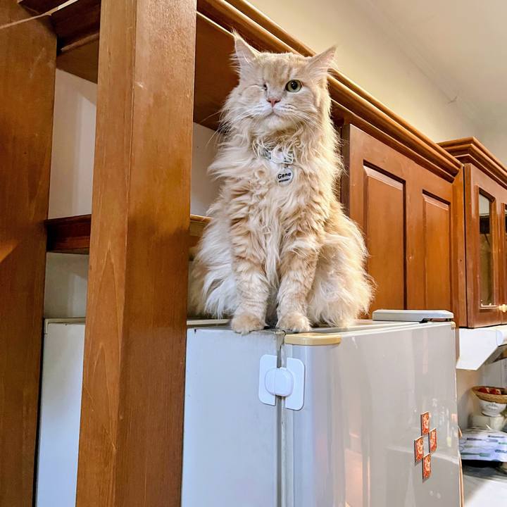 0dcd4ff6 1202 41cc a6d2 500e687e8a7a 1767782967268