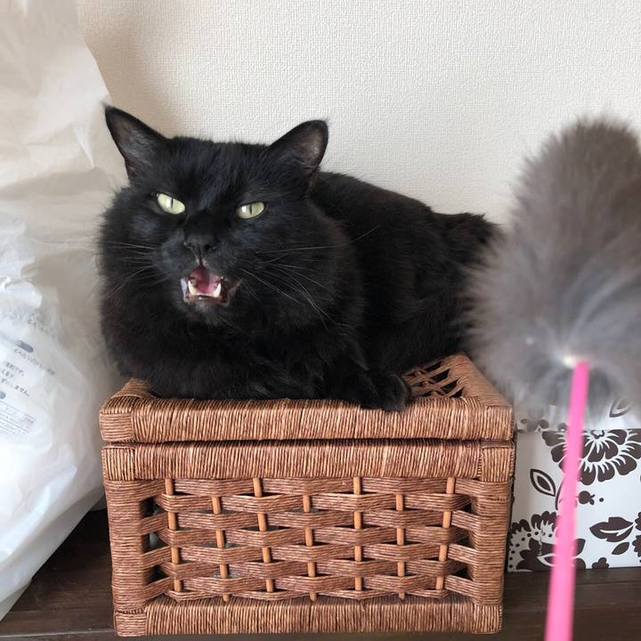 0dcde26e 6d34 4894 a7b3 035911dc605e 1533545726967