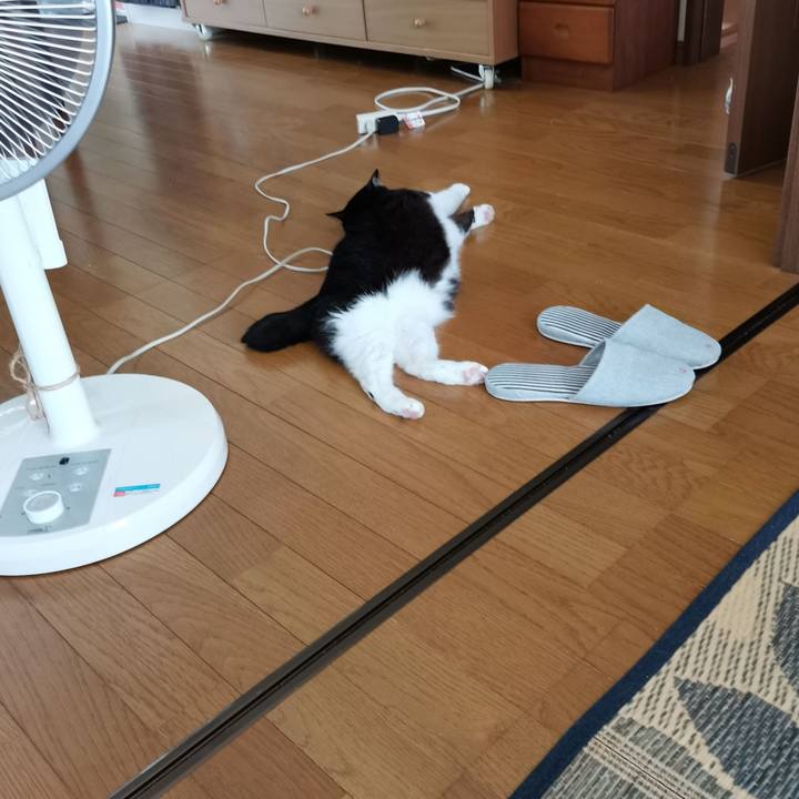 0dcde318 2ff9 405b 94b2 91afcb0a6527 1689397047800