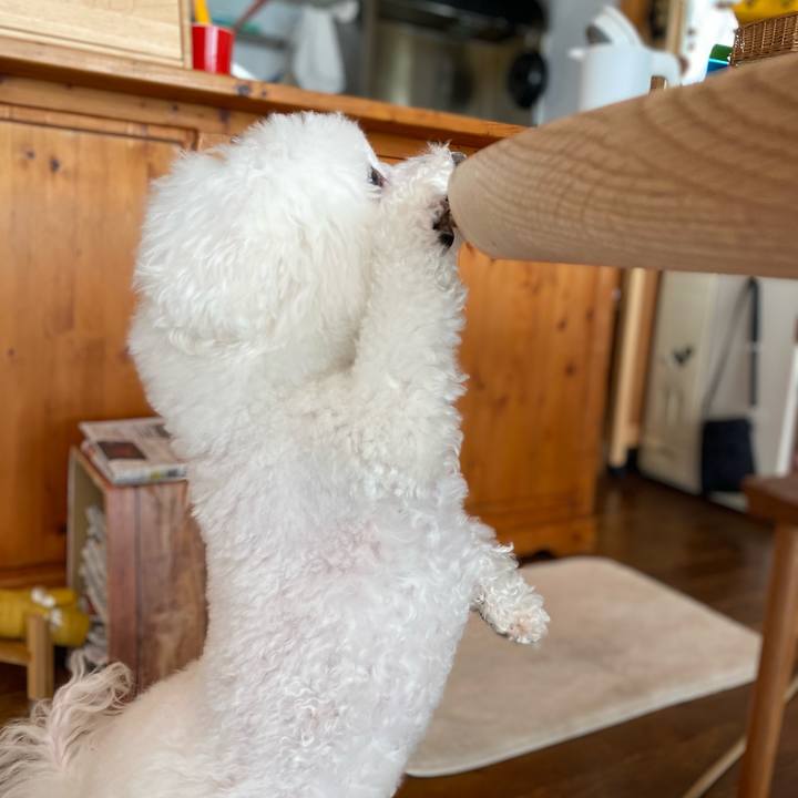 0dce2418 c30f 4f56 9491 50deac67b436 1610670345496