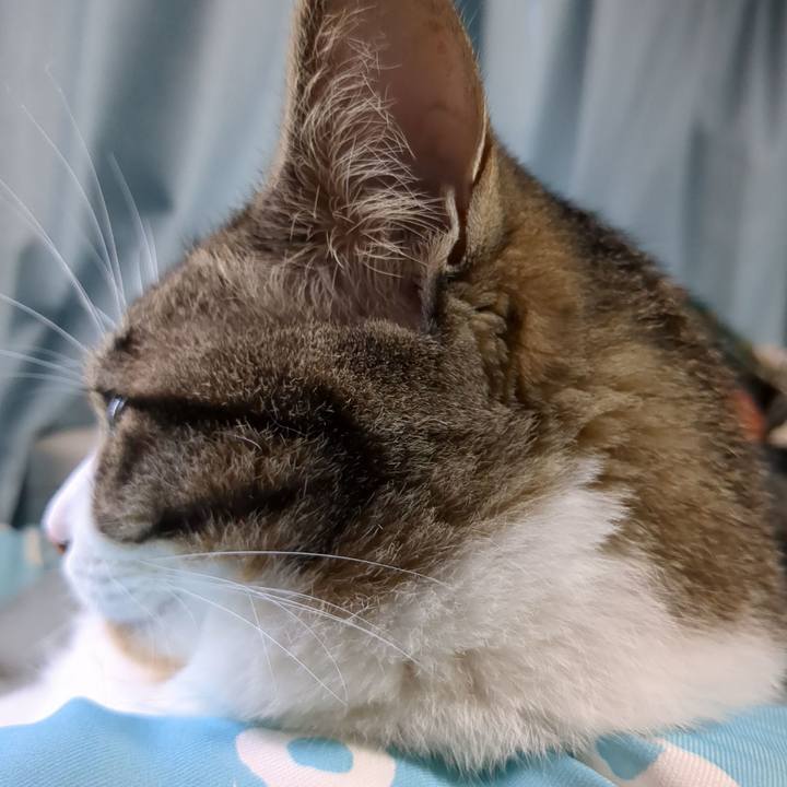 0dce2c44 491d 4c0a 8fc5 90f8d853111f 1685870671935