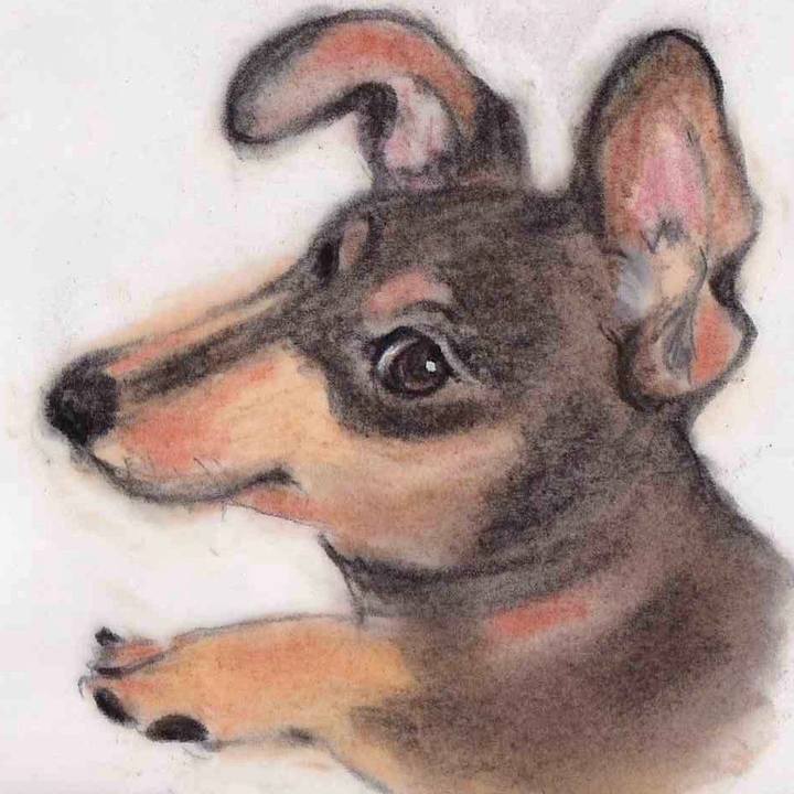 0dce74f2 7cb0 4593 9f1b c1fabe1c54ca 1641991847283