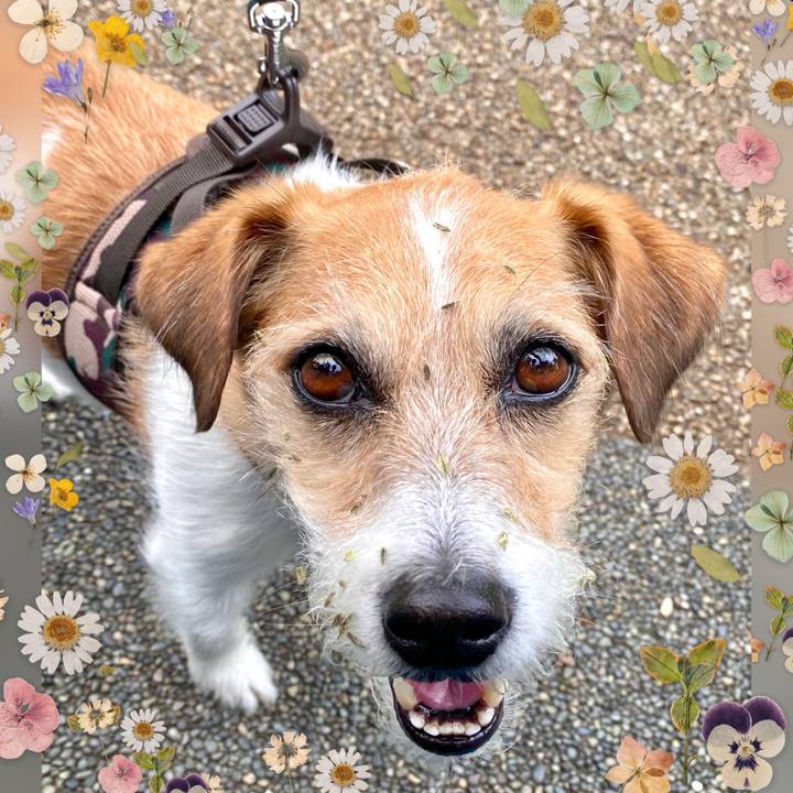 0dce8bd4 49a7 4dcc a270 7dd740e84d75 1716732573207