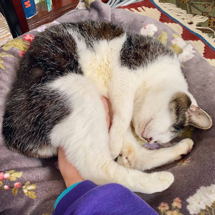 0dce96e4 2c28 45b3 bc96 0af2c2dae691 1610353271762