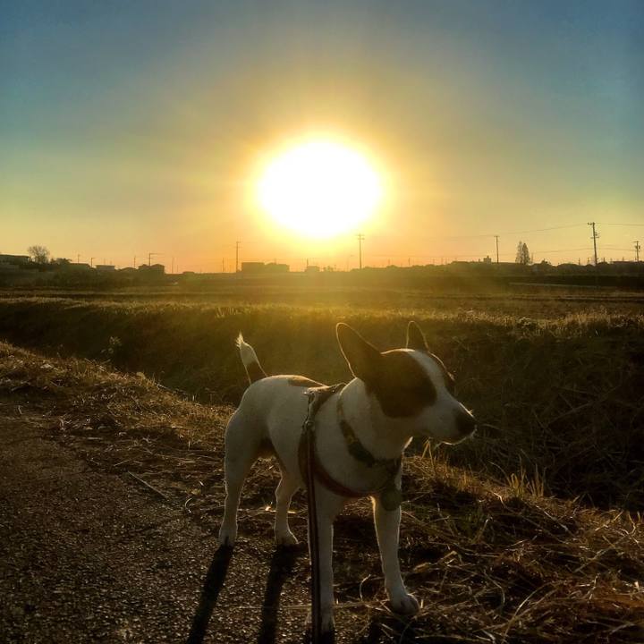 0dcee6b2 3985 457e 98c5 f79f6bb4dd6d 1513586742901