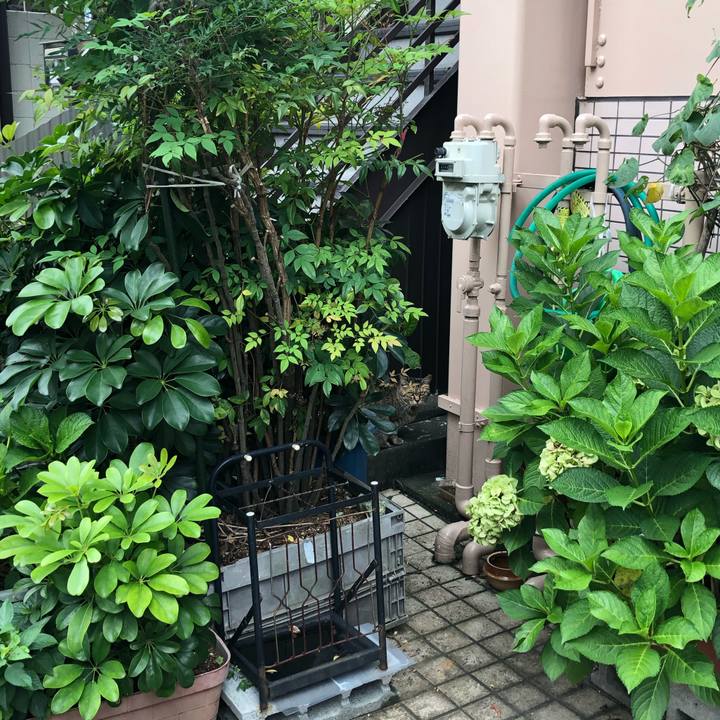 0dcf20e0 a5f5 4a66 8e08 5fbb00364038 1594648684513