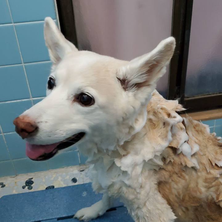 0dcf2726 0570 4b40 bb1c 80d04f3aa7ec 1682053953660