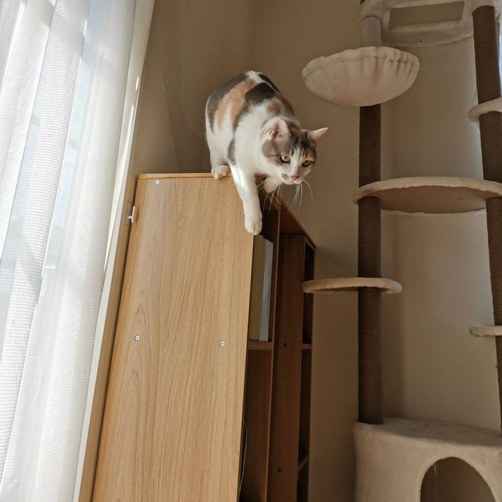 0dcf2fca bd36 4d5f 9e7d a450f37fb1b3 1676003661099