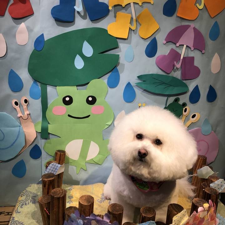 0dcf3483 88f9 41a6 b565 180337c92245 1622094939967