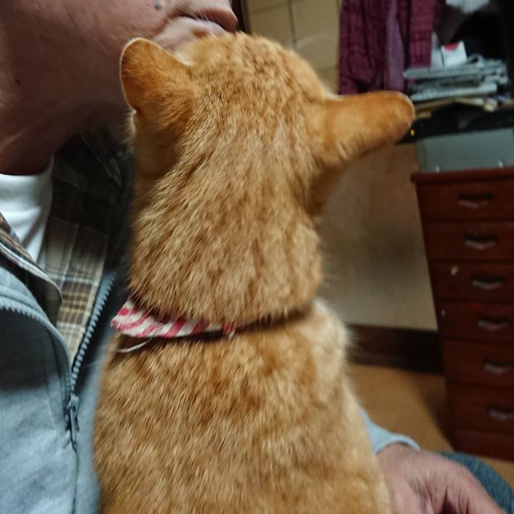 0dcf37a8 6443 42a9 8975 abe96739eeb5 1607543385280