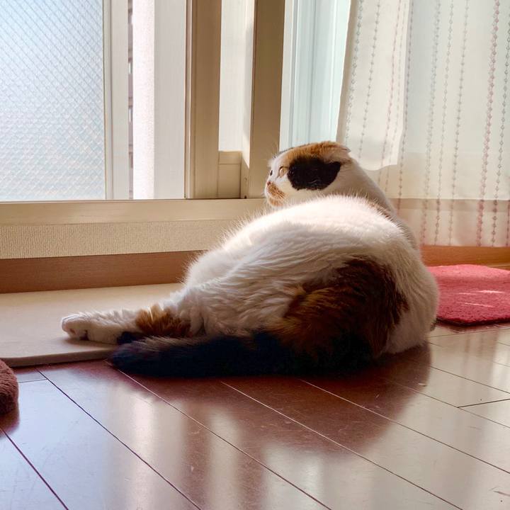 0dcf3b50 2b93 4b72 afe5 0debe193eb29 1565737222436