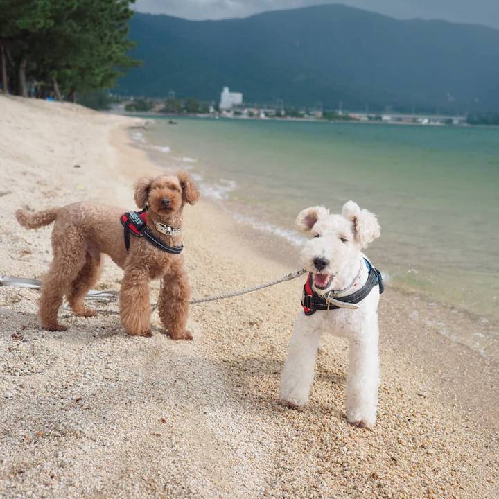 0dcf4ffb b853 4e39 b36a 031592227629 1592620188414