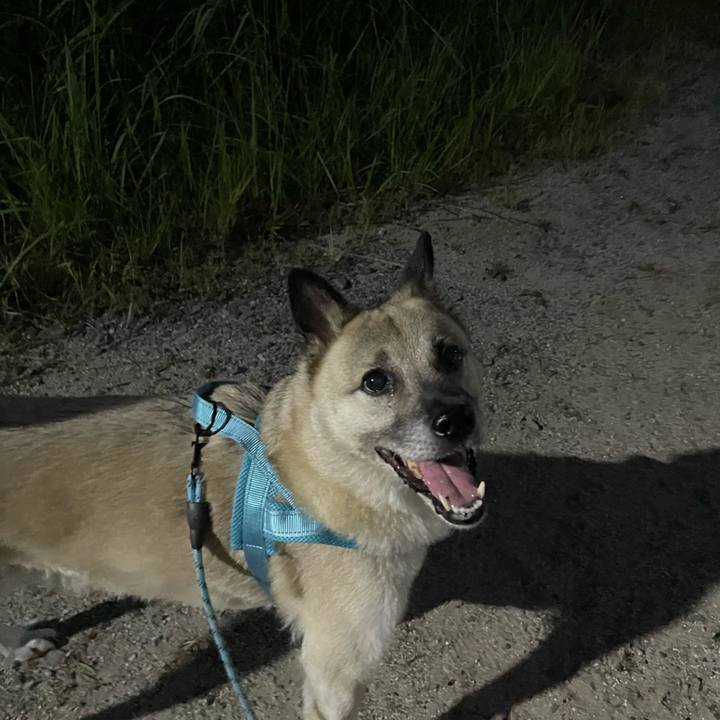 0dcf9c4a 2407 4cf1 bbde f818708dd128 1723638584666