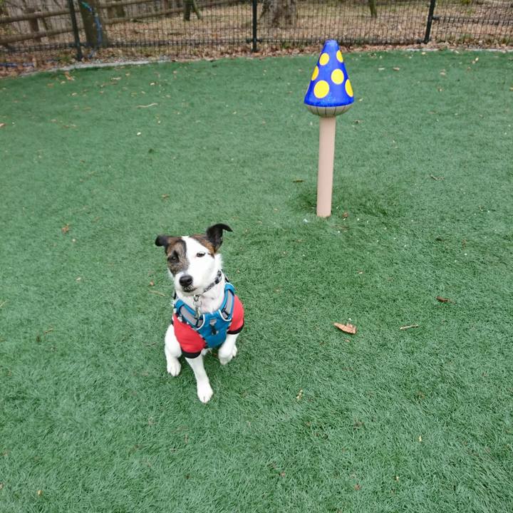 0dcfb84d 580c 408b 8a68 f2c2191b7fe7 1519516854960