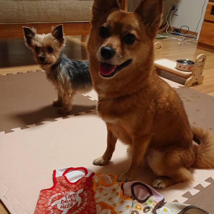 0dcfdbd6 70a3 4d2c 99a8 5755811015df 1561716756384