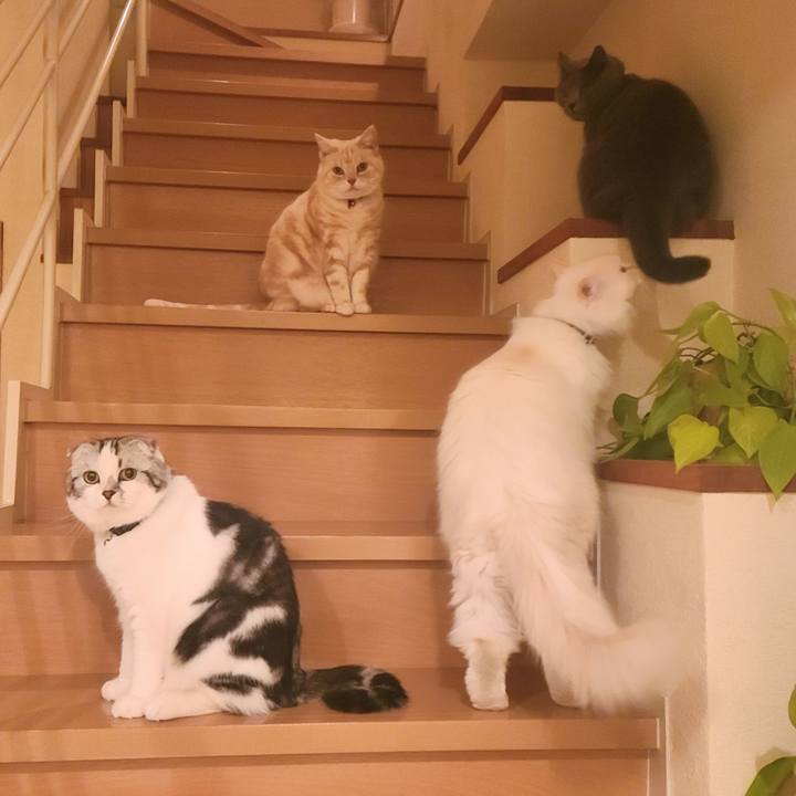 0dcff347 6dce 456e 9653 2f8d9f4261c4 1678147235553