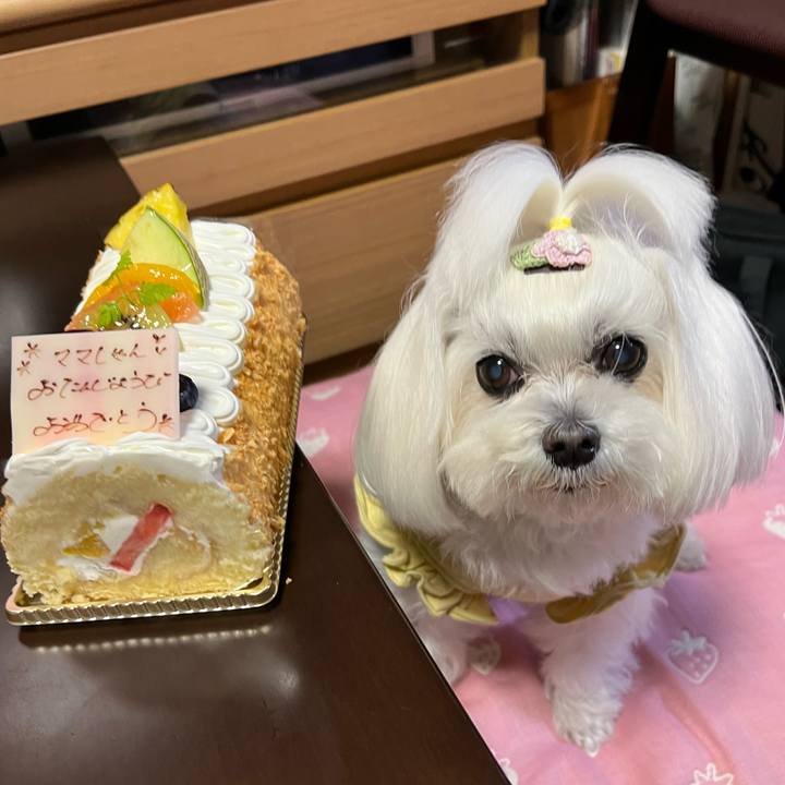 0dcffbf0 4200 43d3 afbd 8420fae8a5b8 1762067419053