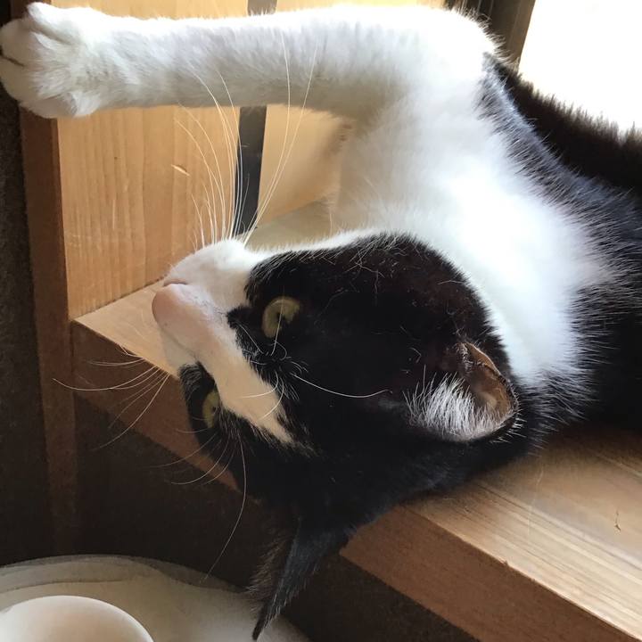 0dd017ab 2cbf 41d4 bbc5 1dbc2e5bfbcd 1715847965055