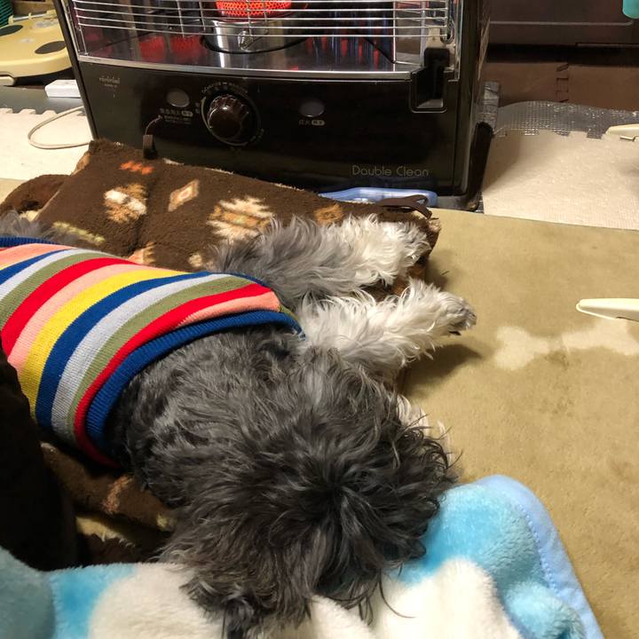 0dd029fe be4c 4575 bad0 33c655d8c51b 1544330193758